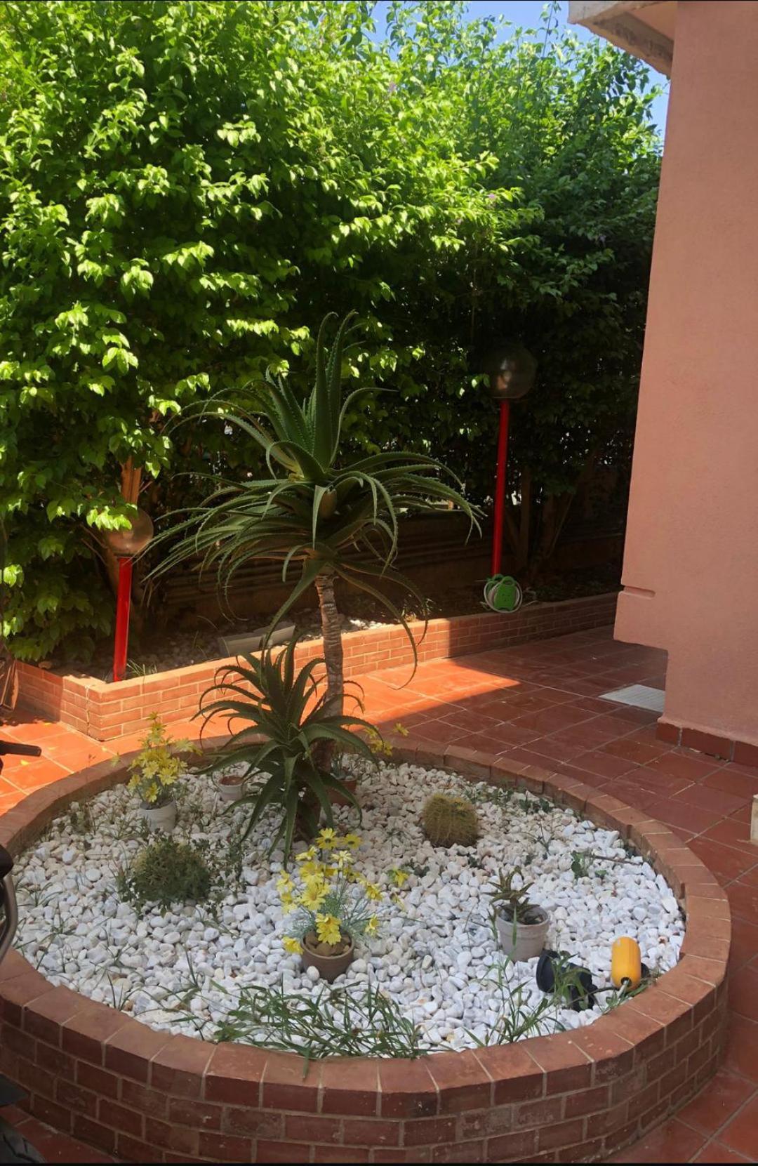 Mondello House Lemon Daire Palermo Dış mekan fotoğraf