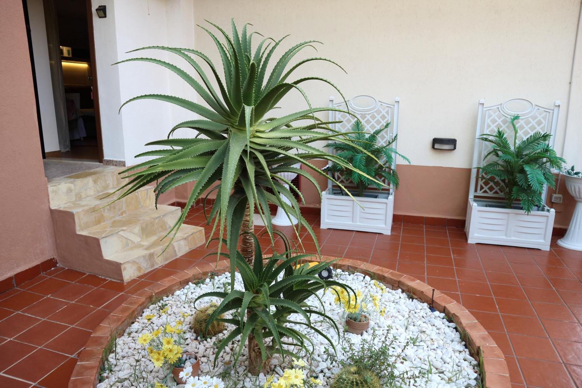 Mondello House Lemon Daire Palermo Dış mekan fotoğraf