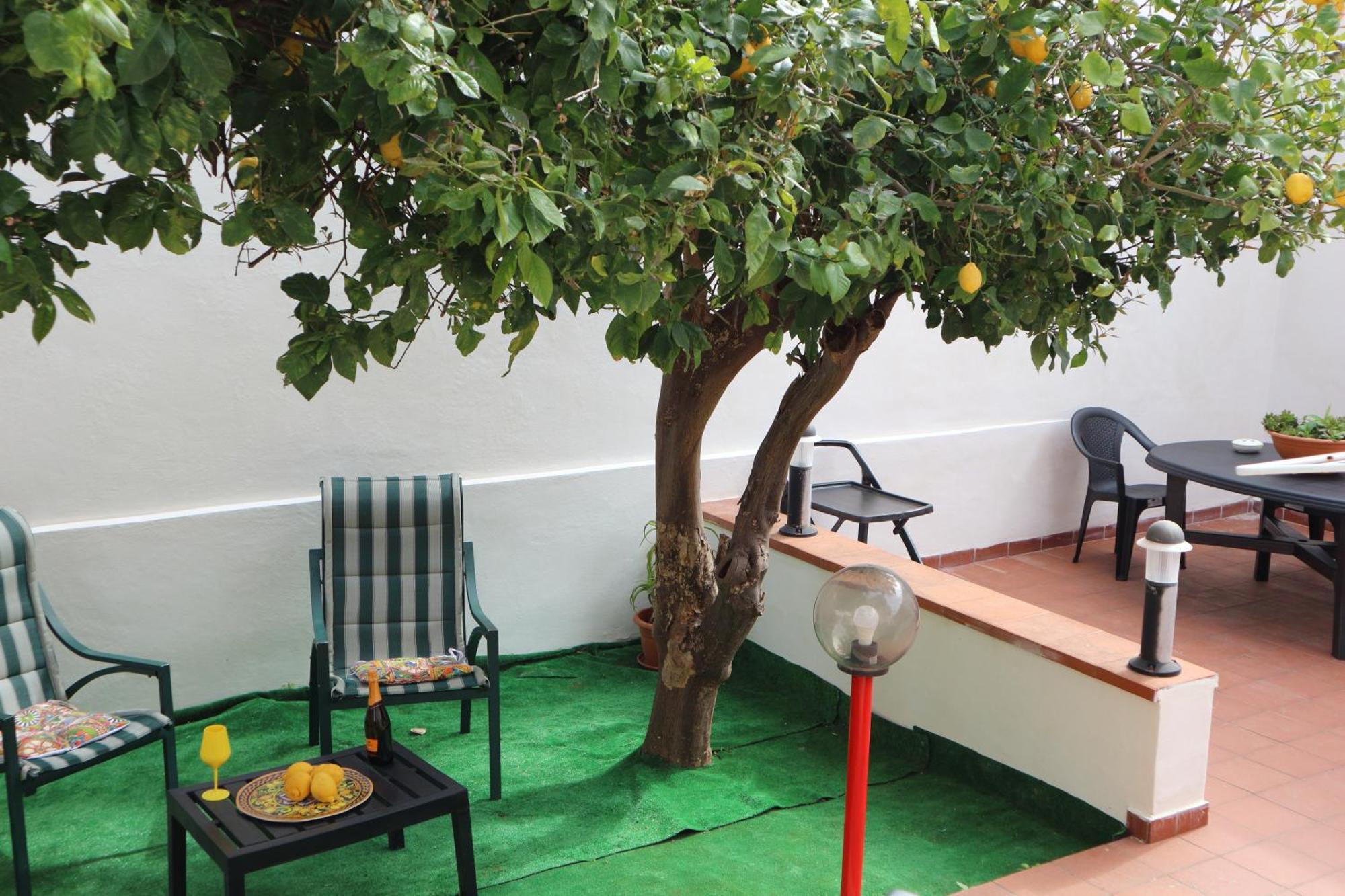 Mondello House Lemon Daire Palermo Dış mekan fotoğraf